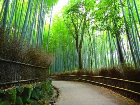 Cochien Imperial Garden Villa Kyoto Bagian luar foto